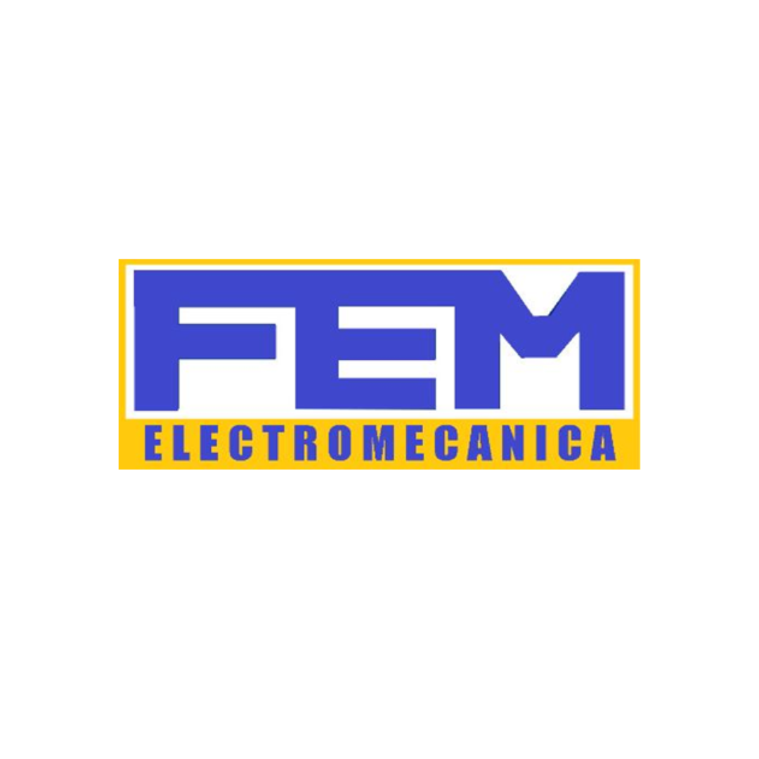 FEM Electromecanica